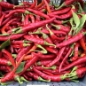 Острый перец Carolina Cayenne