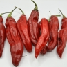 Острый перец Aji Panca Red