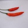 Aji Cristal pepper (Острый перец Ахи Кристал)